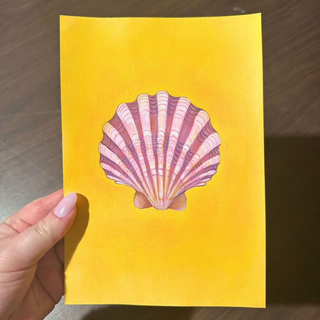 Scallop Shell | A5 Original