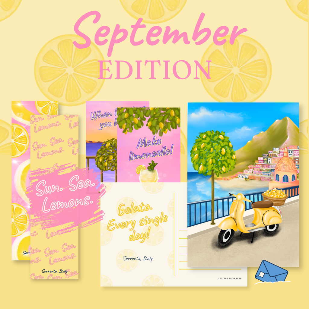 CATCH UP BUNDLE - September 2026 Edition